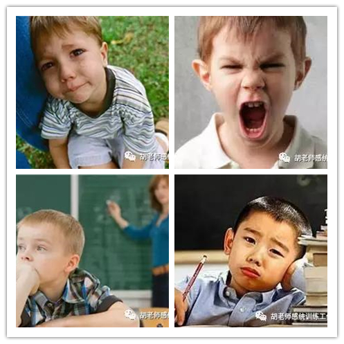 什么是感覺(jué)統(tǒng)合？感統(tǒng)訓(xùn)練有多重要？